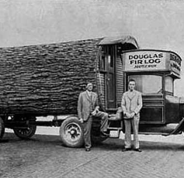 Vintage log office